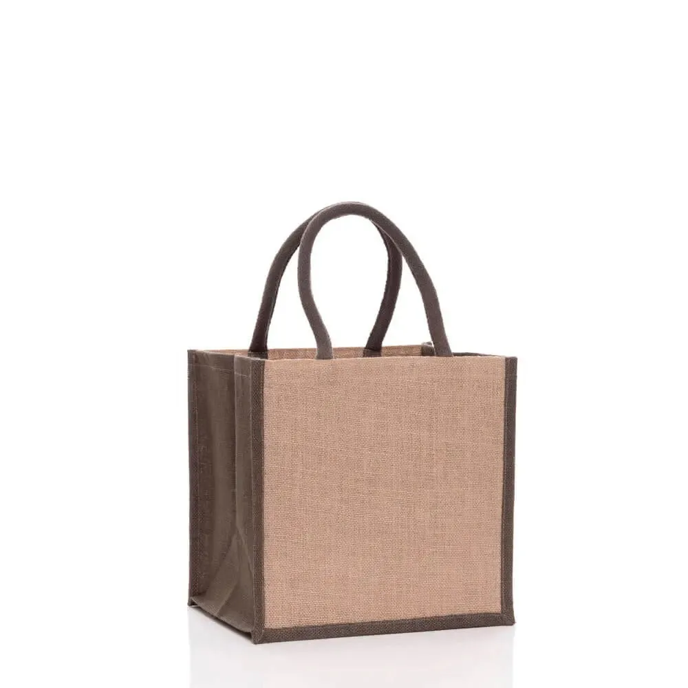 Milk and Beer Bottle Bag