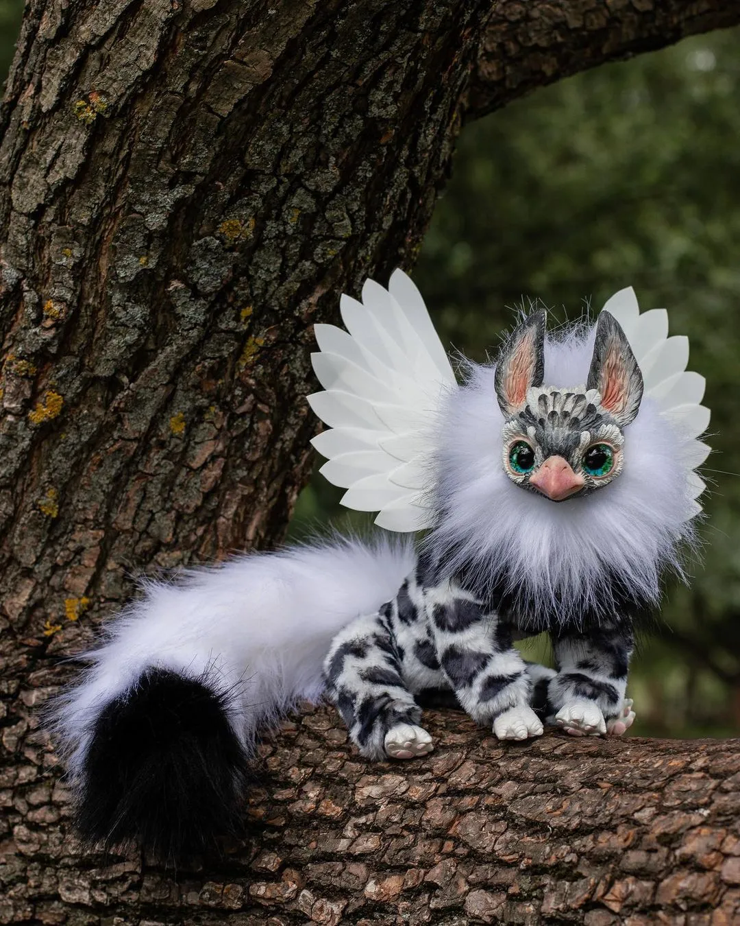 Pointy-Eared Griffin